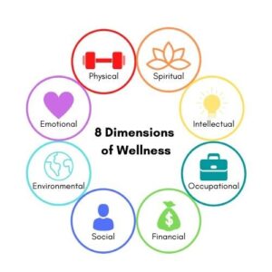 Ways2Wellness D-I-Y Online Program- Module 1 (Understanding Wellness)